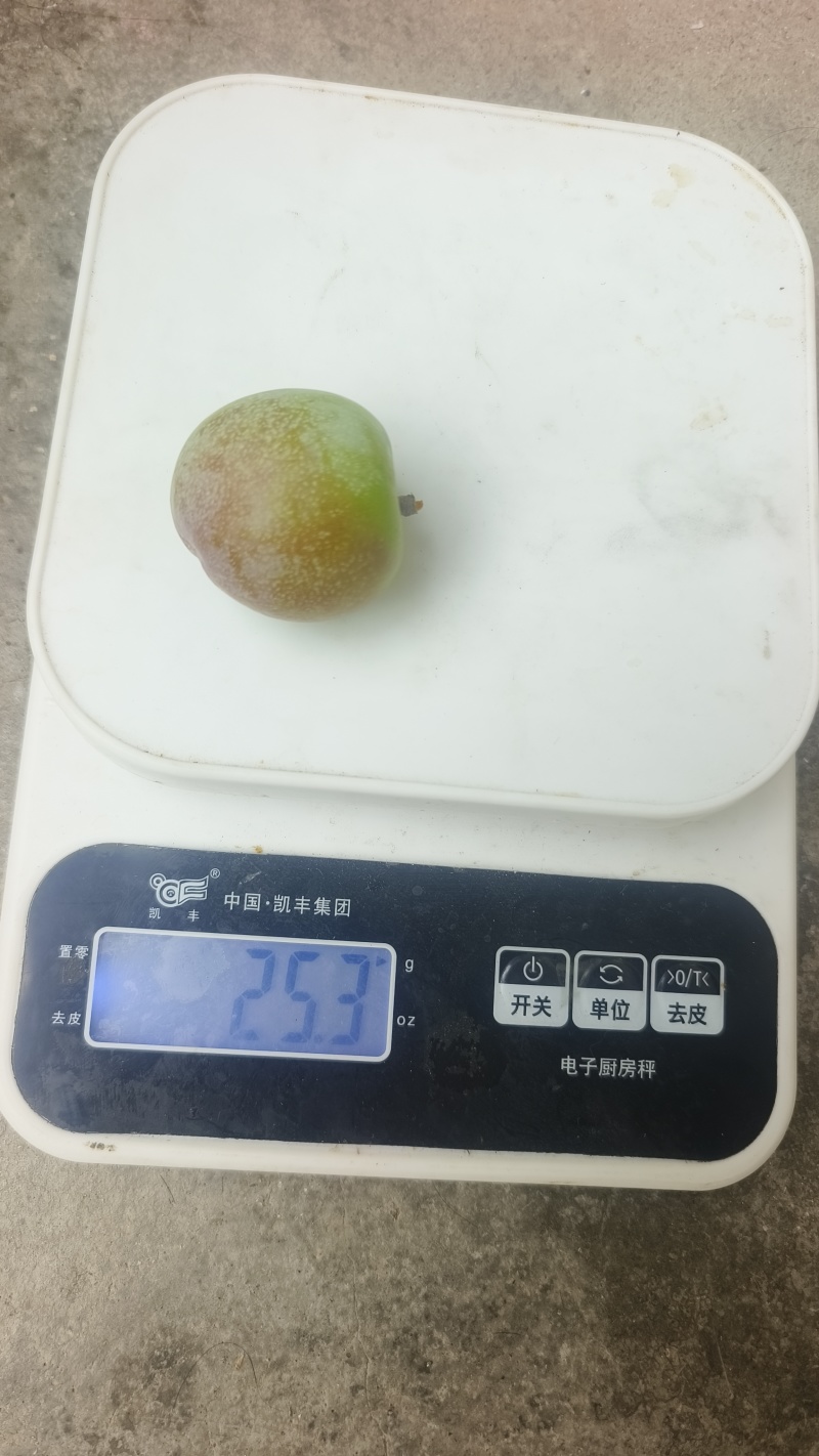 汉源小翠红开始上色了需要走电商批发越南