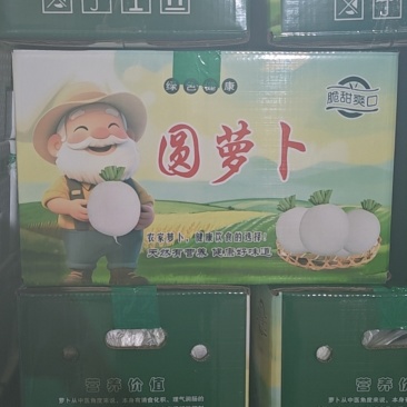 精品圆白萝卜