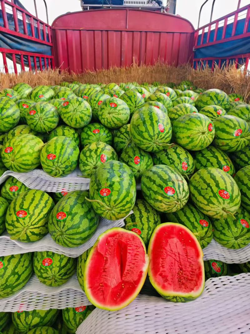 硒砂瓜甘肃西瓜石头瓜，大量现货供应，品质好个头大耐运输