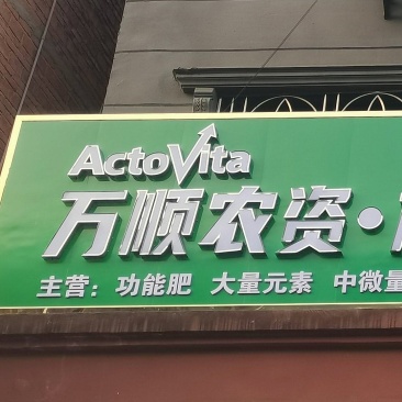 湖北高山西红柿马上上市