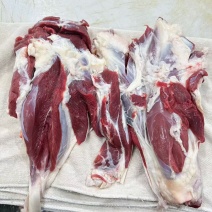 牛腱子卤肉**源头工厂直发产品种类齐全欢迎选购