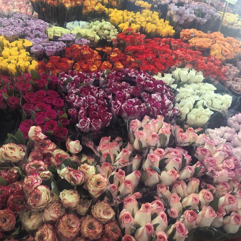 各种花批发