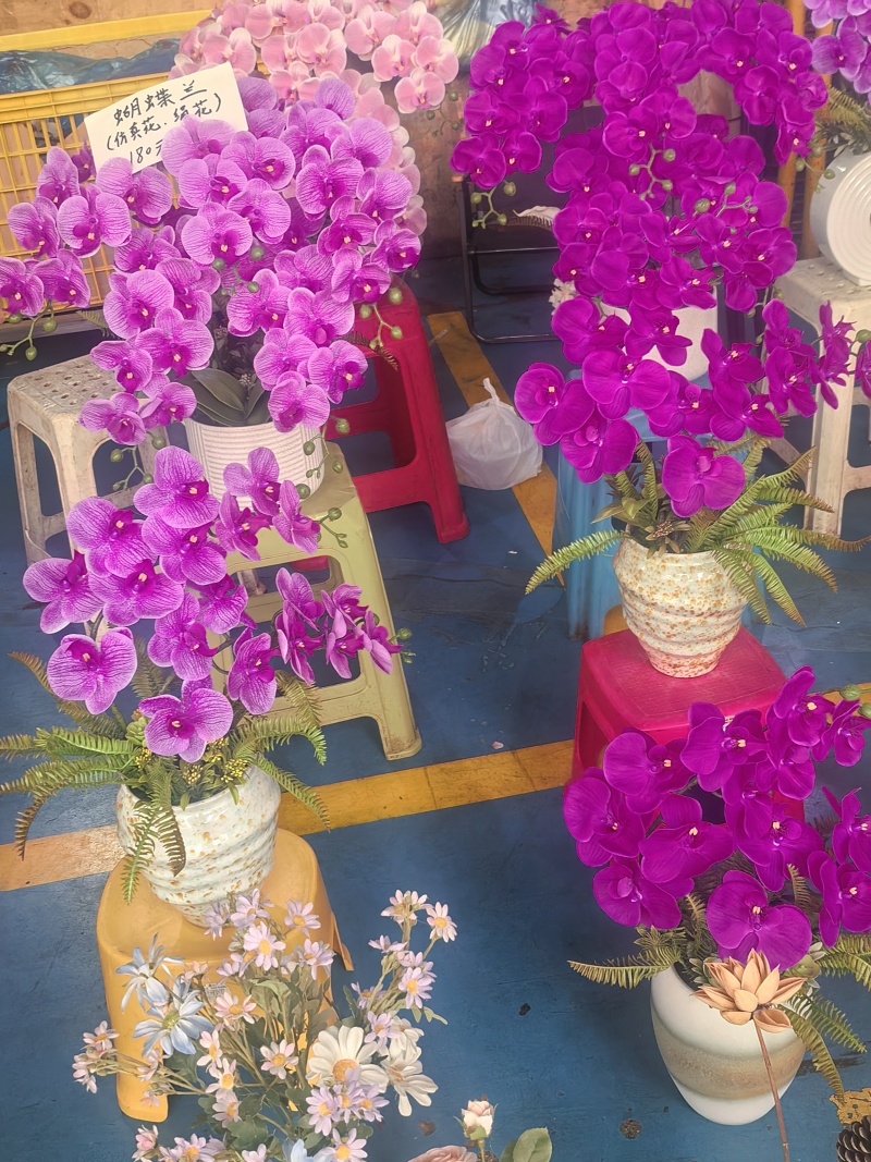 各种花批发