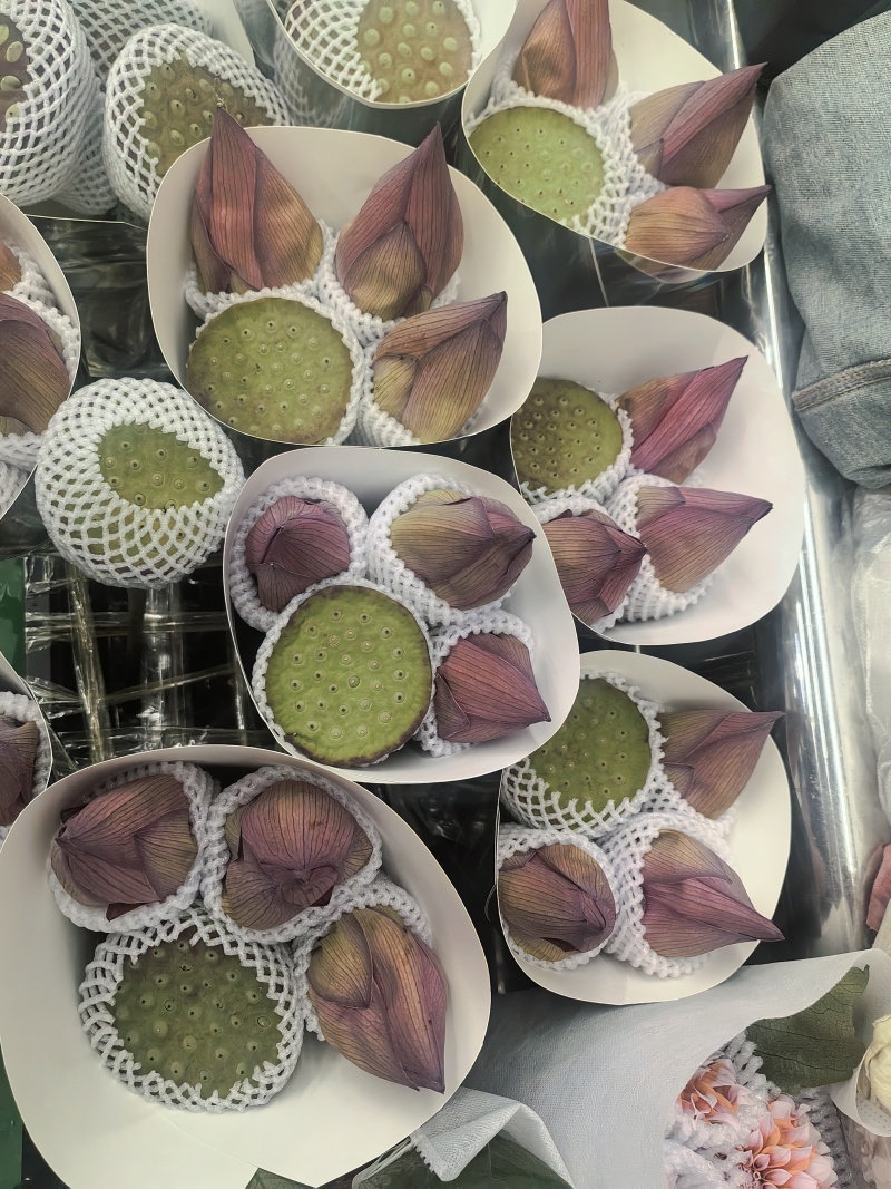 各种花批发