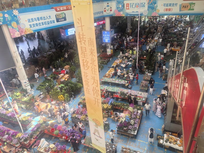 各种花批发