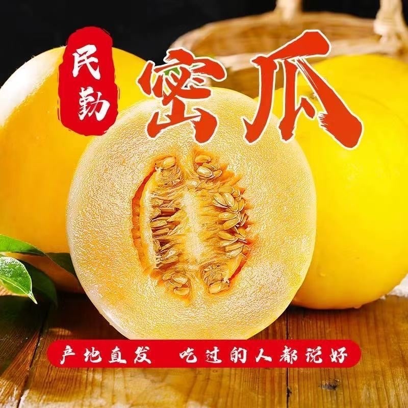 民勤蜜瓜一件代发