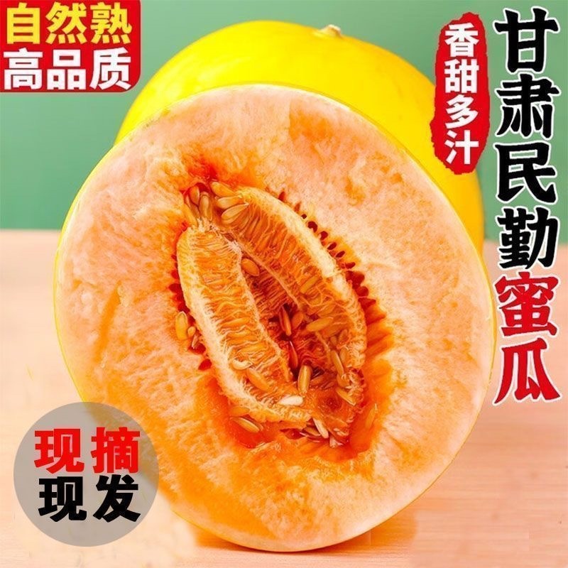 民勤蜜瓜一件代发