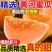 民勤蜜瓜一件代发