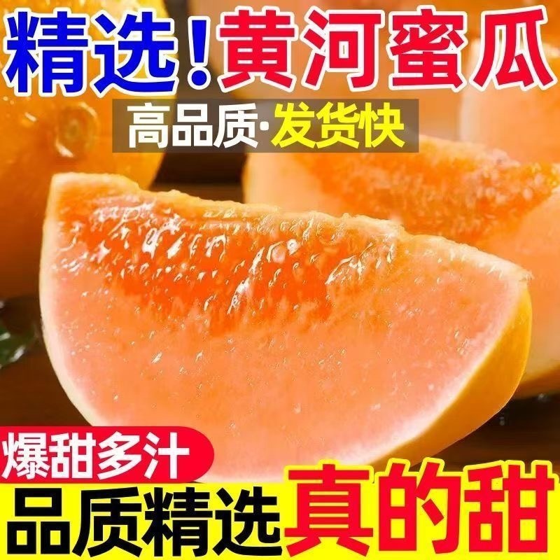 民勤蜜瓜一件代发