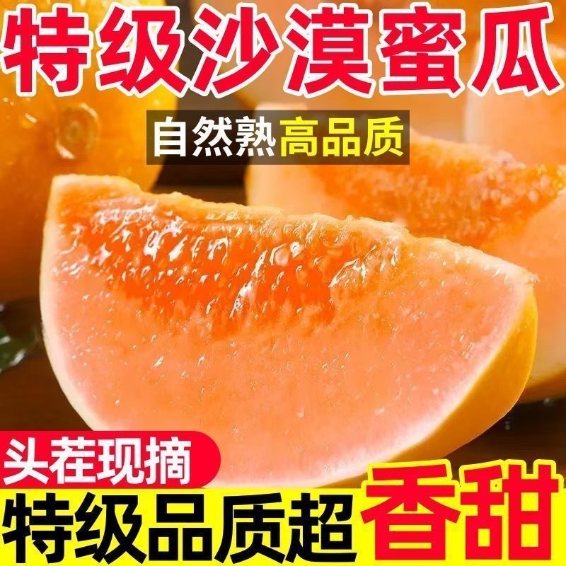 民勤蜜瓜一件代发