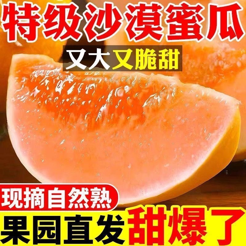 民勤蜜瓜一件代发