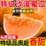 民勤蜜瓜一件代发
