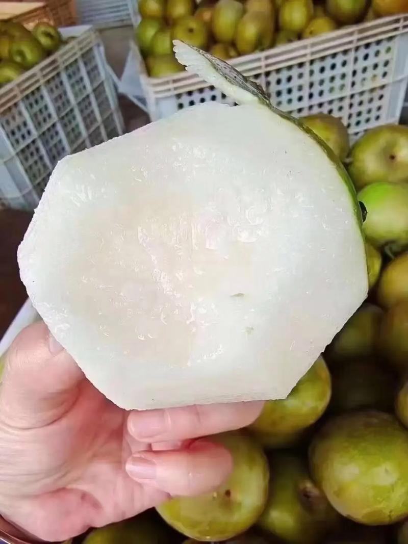 浙江海宁翠冠梨