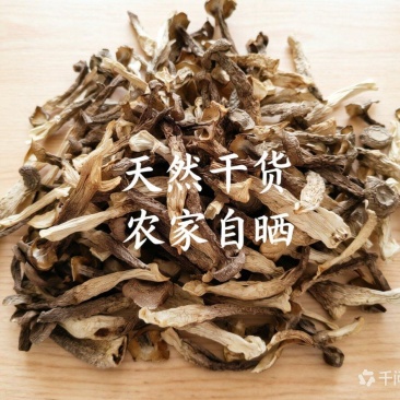 （净重一斤）高档鹿茸菇干货正宗农家鹿茸菇食材批发煲汤炒菜