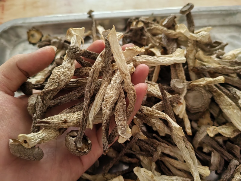 （净重一斤）高档鹿茸菇干货正宗农家鹿茸菇食材批发煲汤炒菜