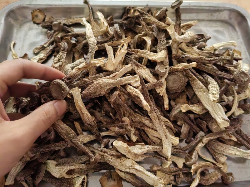 （净重一斤）高档鹿茸菇干货正宗农家鹿茸菇食材批发煲汤炒菜