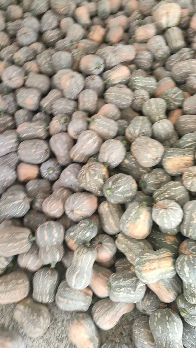 南瓜金香南瓜花生南瓜现摘现发产地直供欢迎来电