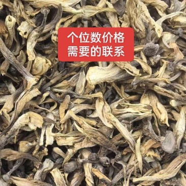 鹿茸菇批发