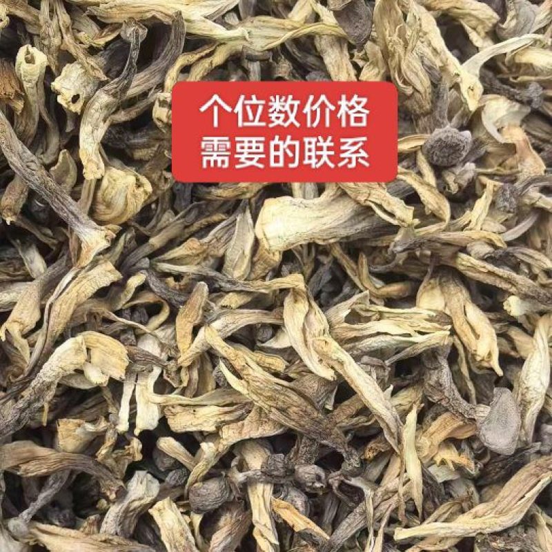 鹿茸菇批发