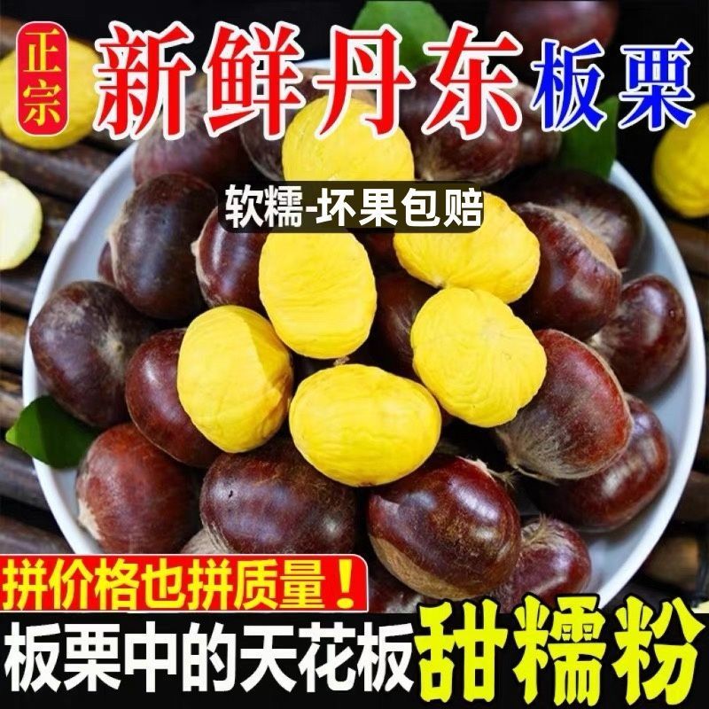 5斤一袋东北丹东大板栗，支持电商一件代发！