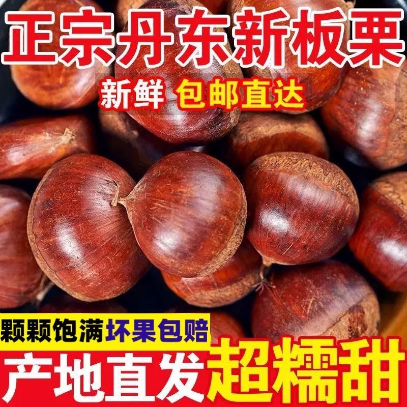 5斤一袋东北丹东大板栗，支持电商一件代发！