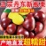5斤一袋东北丹东大板栗，支持电商一件代发！