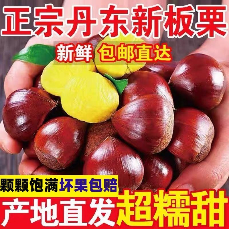 5斤一袋东北丹东大板栗，支持电商一件代发！