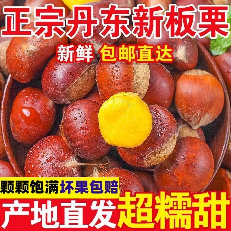 5斤一袋东北丹东大板栗，支持电商一件代发！