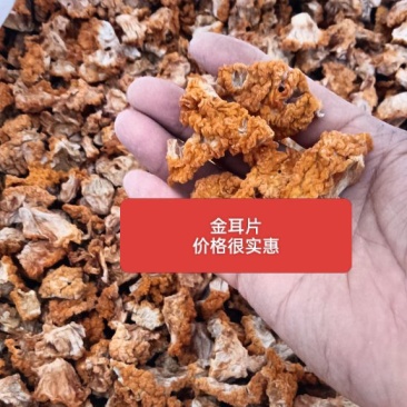 金耳片，价格超低