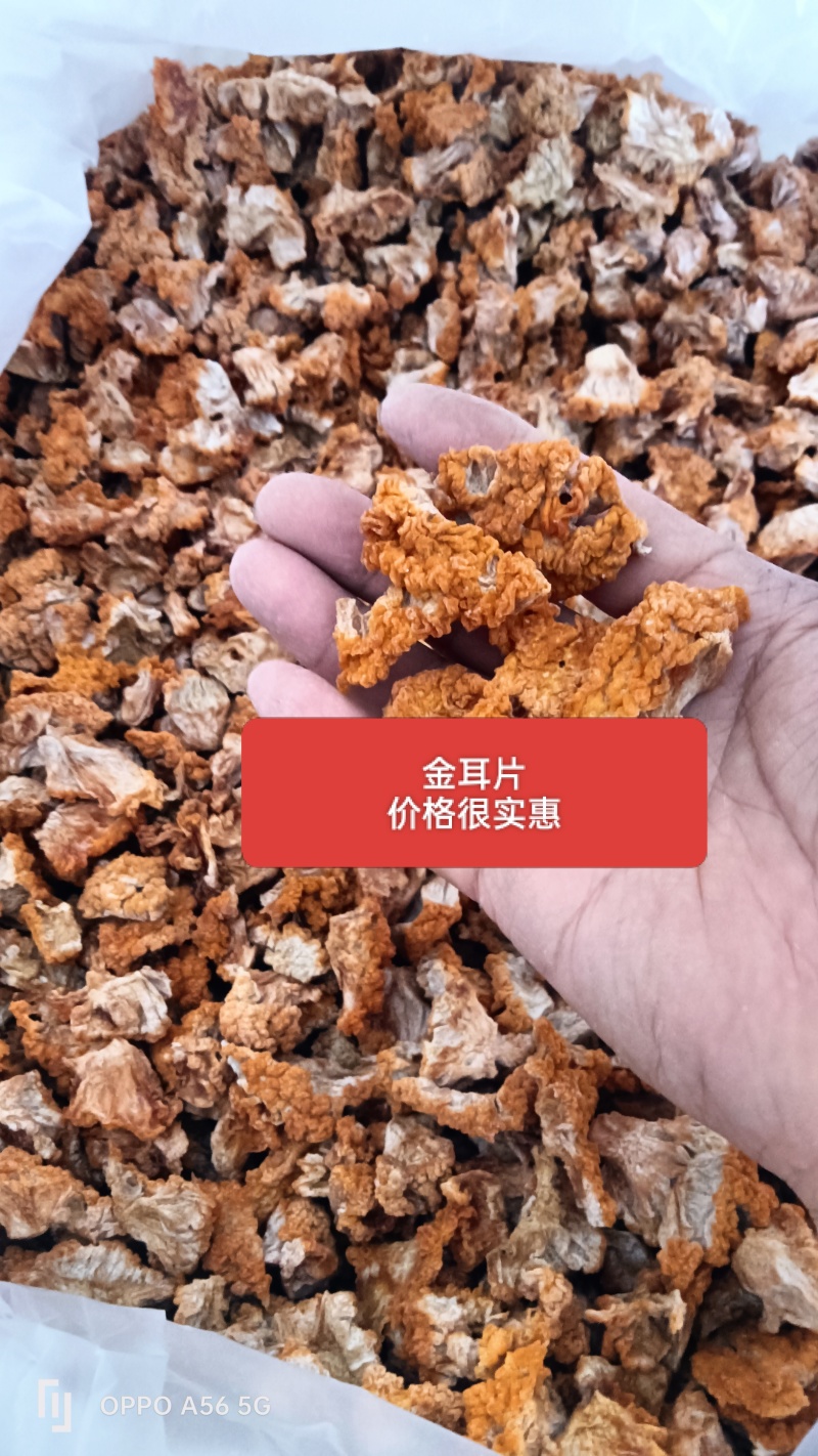 金耳片，价格超低
