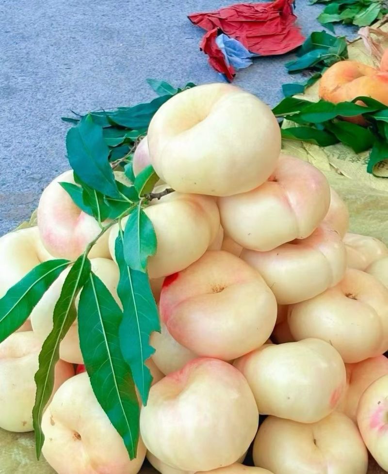 油6大量上市