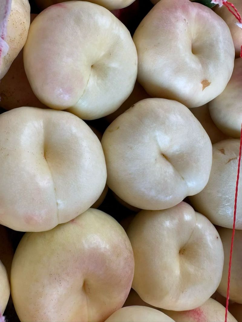 油6大量上市