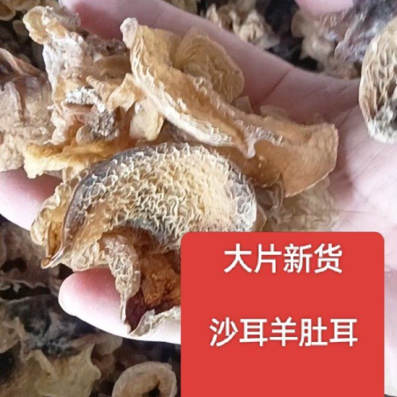羊肚茸，沙耳，价格很便宜