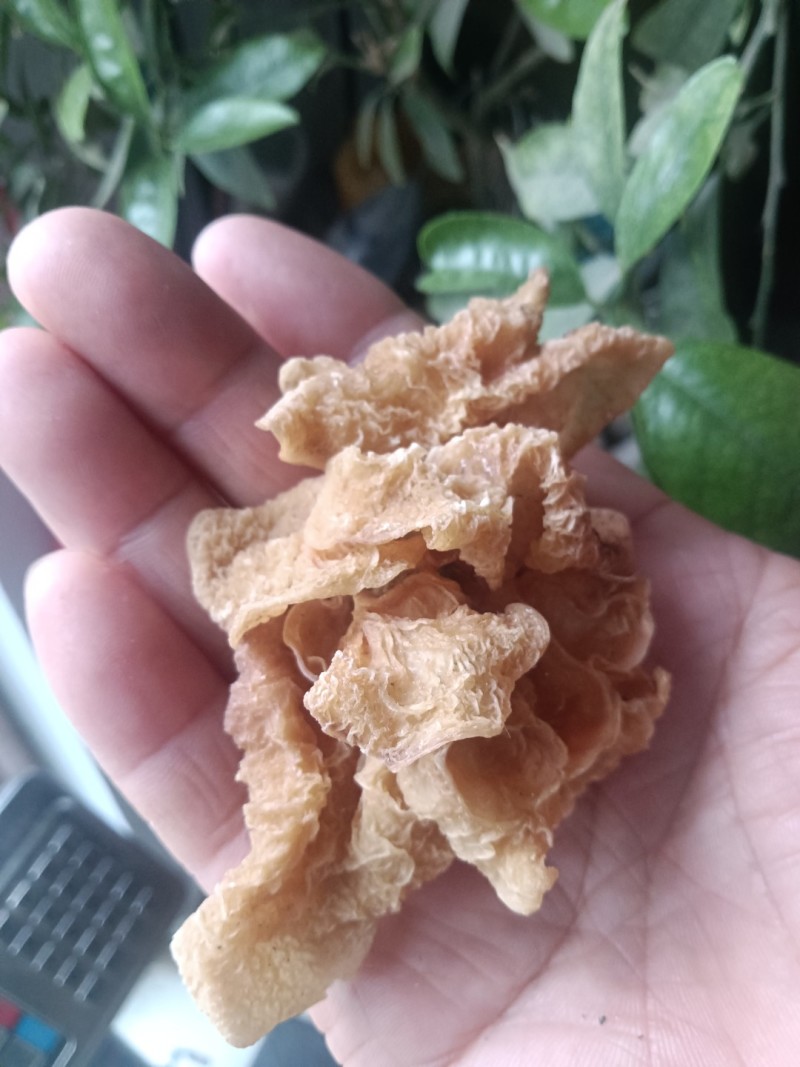 羊肚茸，沙耳，价格很便宜
