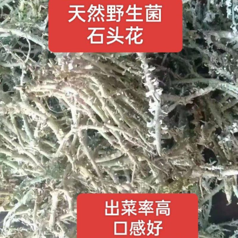石花菜，石头花