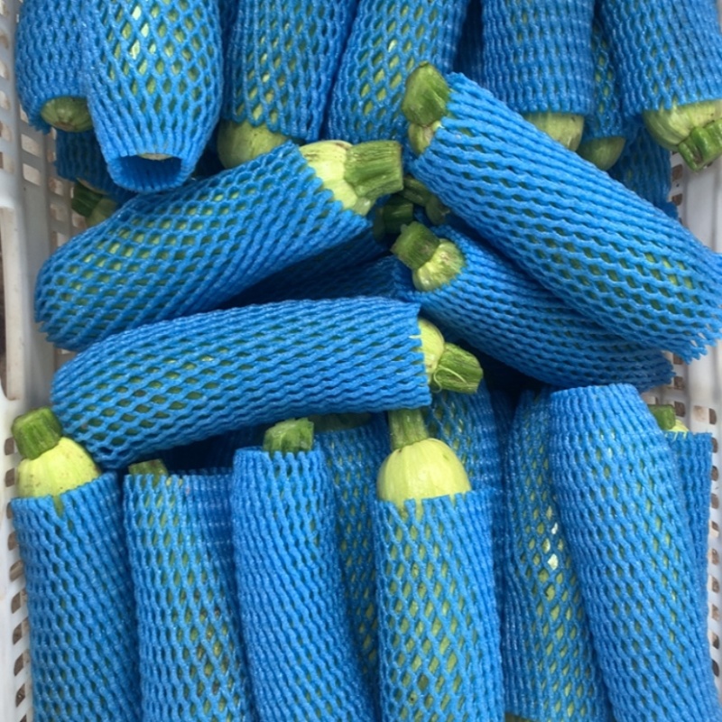 精品绿皮西葫芦