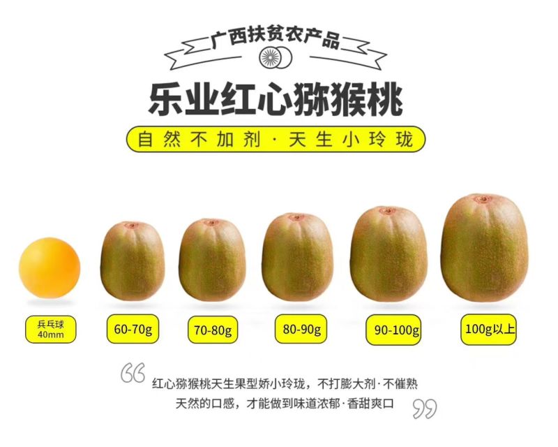 广西百色乐业红心猕猴桃红阳鲜果产地直供整车批发一件代发