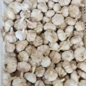 打磨，去皮，去杆