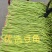 河南焦作长豆角大量上市中，质量好，价格低，欢迎选购。