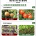 芸苔素内酯14羟基芸苔素甾醇促生根生长调节剂促花促果