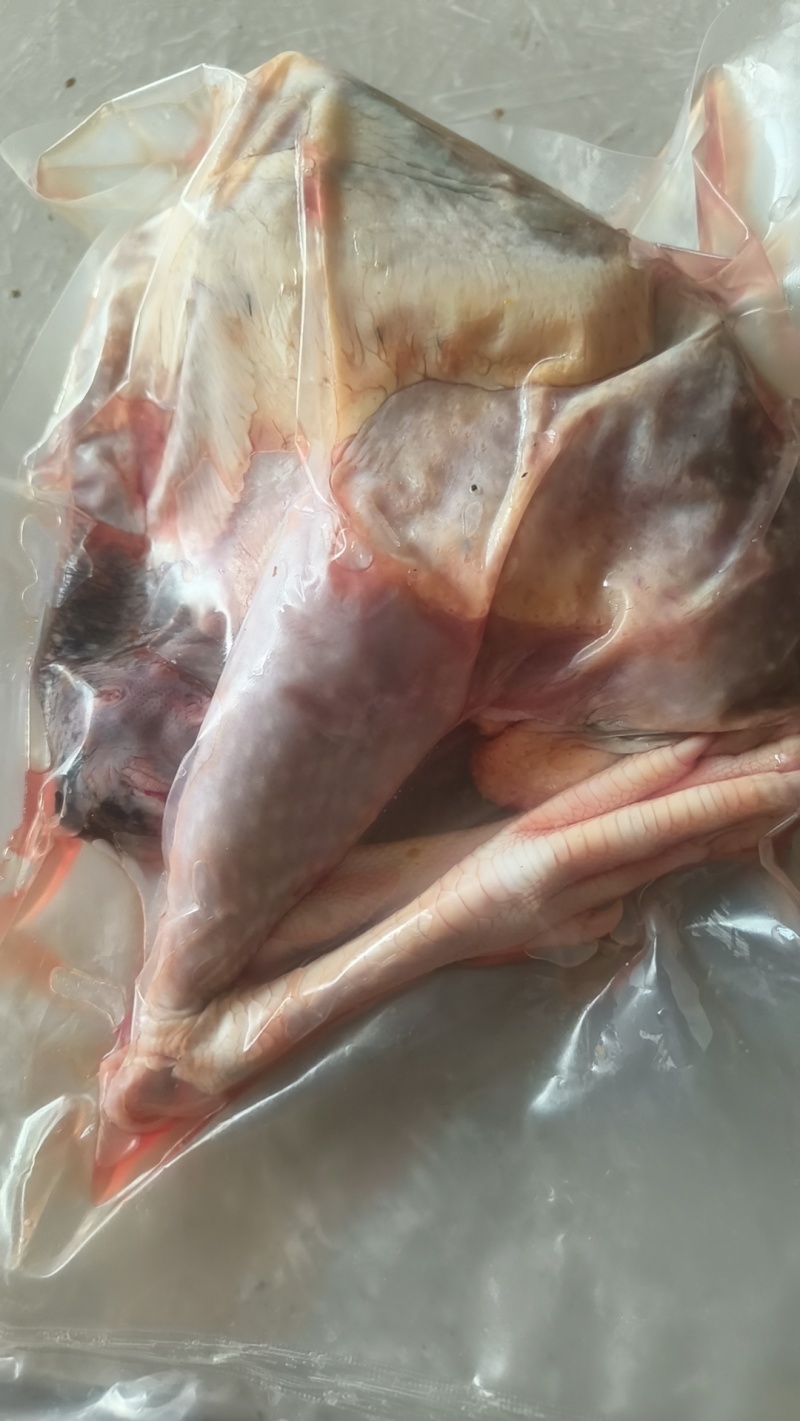 珍珠鸡白条