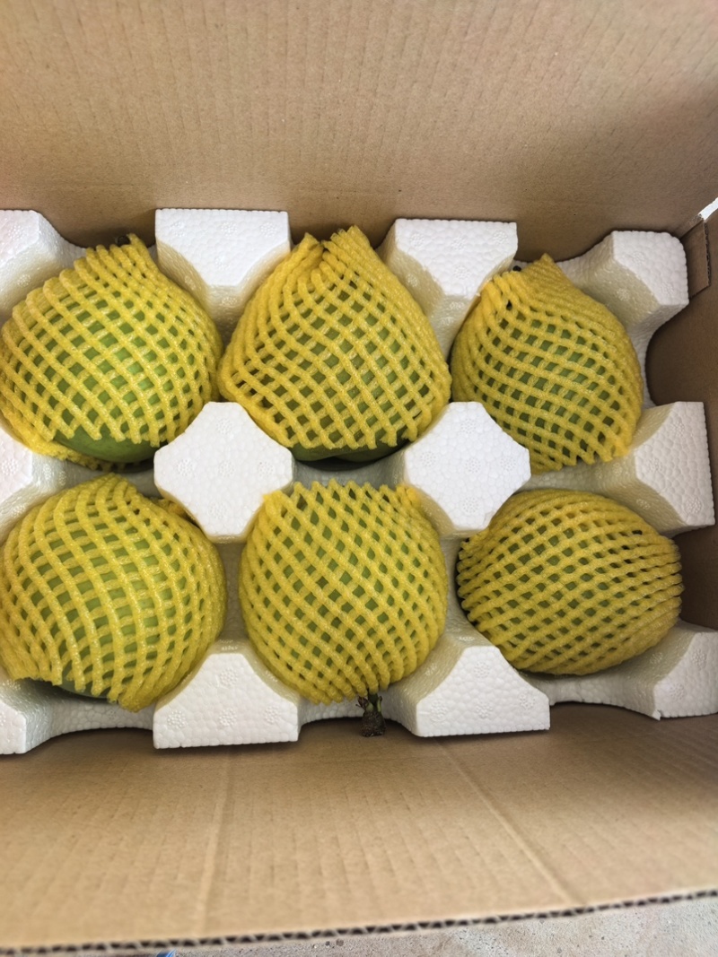 砀山青梨可对接电商，支持一件代发，品质至上