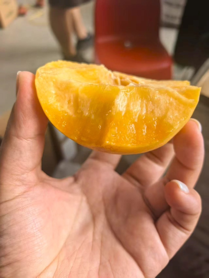 砀山黄桃，可对接电商，支持一件代发，品质至上