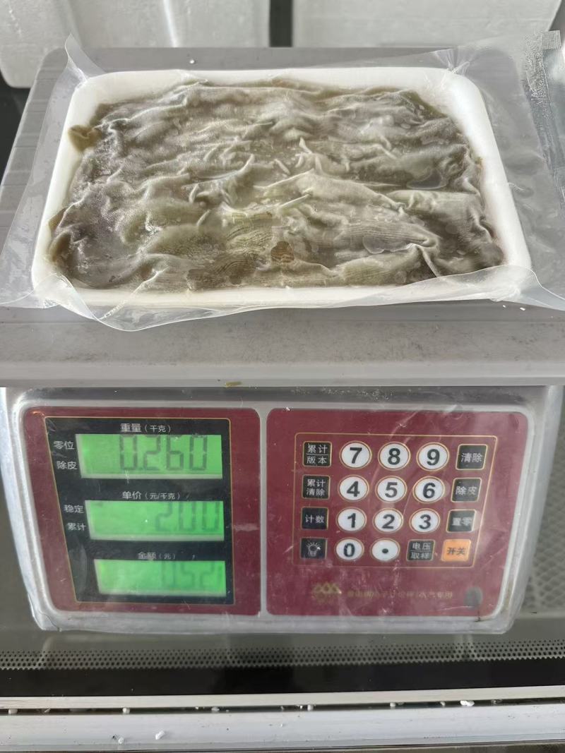 沙虫，冻板沙虫，托盘沙虫，去脏沙虫，沙虫干