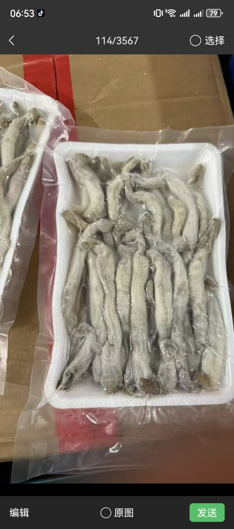 沙虫，冻板沙虫，托盘沙虫，去脏沙虫，沙虫干