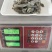 沙虫，冻板沙虫，托盘沙虫，去脏沙虫，沙虫干