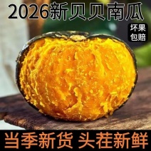 5斤一件贝贝南瓜原产地直发包售后