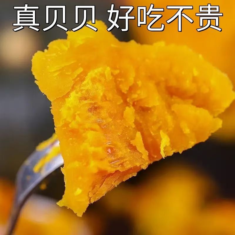 5斤一件贝贝南瓜原产地直发包售后