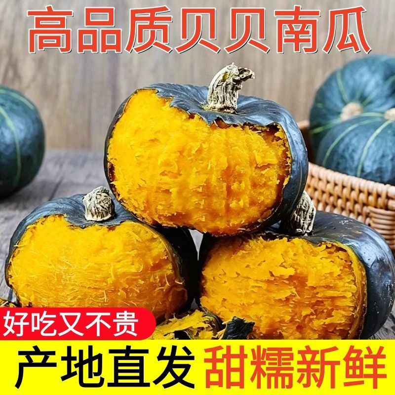 5斤一件贝贝南瓜原产地直发包售后