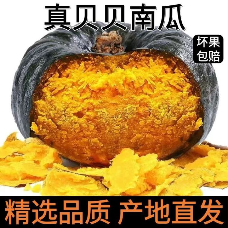 5斤一件贝贝南瓜原产地直发包售后